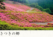 さつきの郷