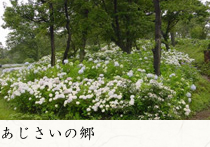 あじさいの郷